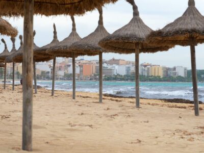 Mickie Krause Vermögen