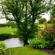 selbständig als gärtner ohne ausbildung