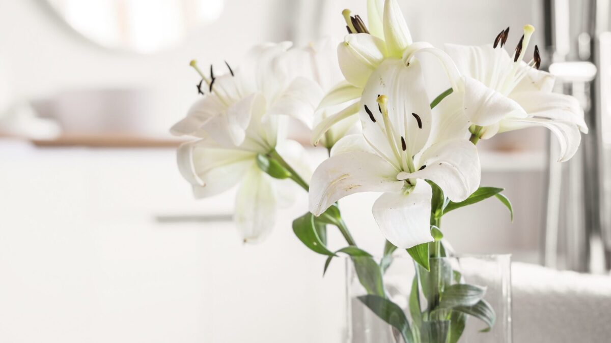 Blumen in der Wohnung