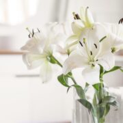 Blumen in der Wohnung