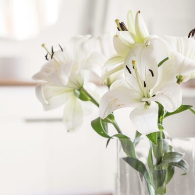 Blumen in der Wohnung