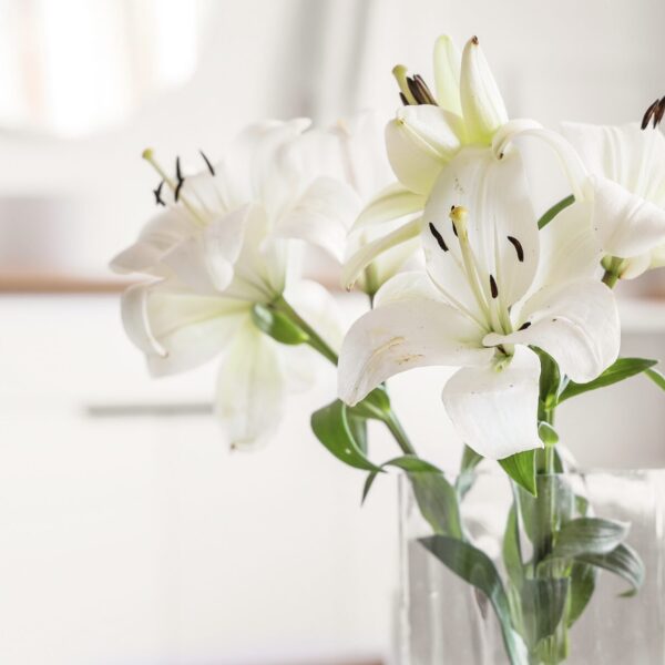 Blumen in der Wohnung