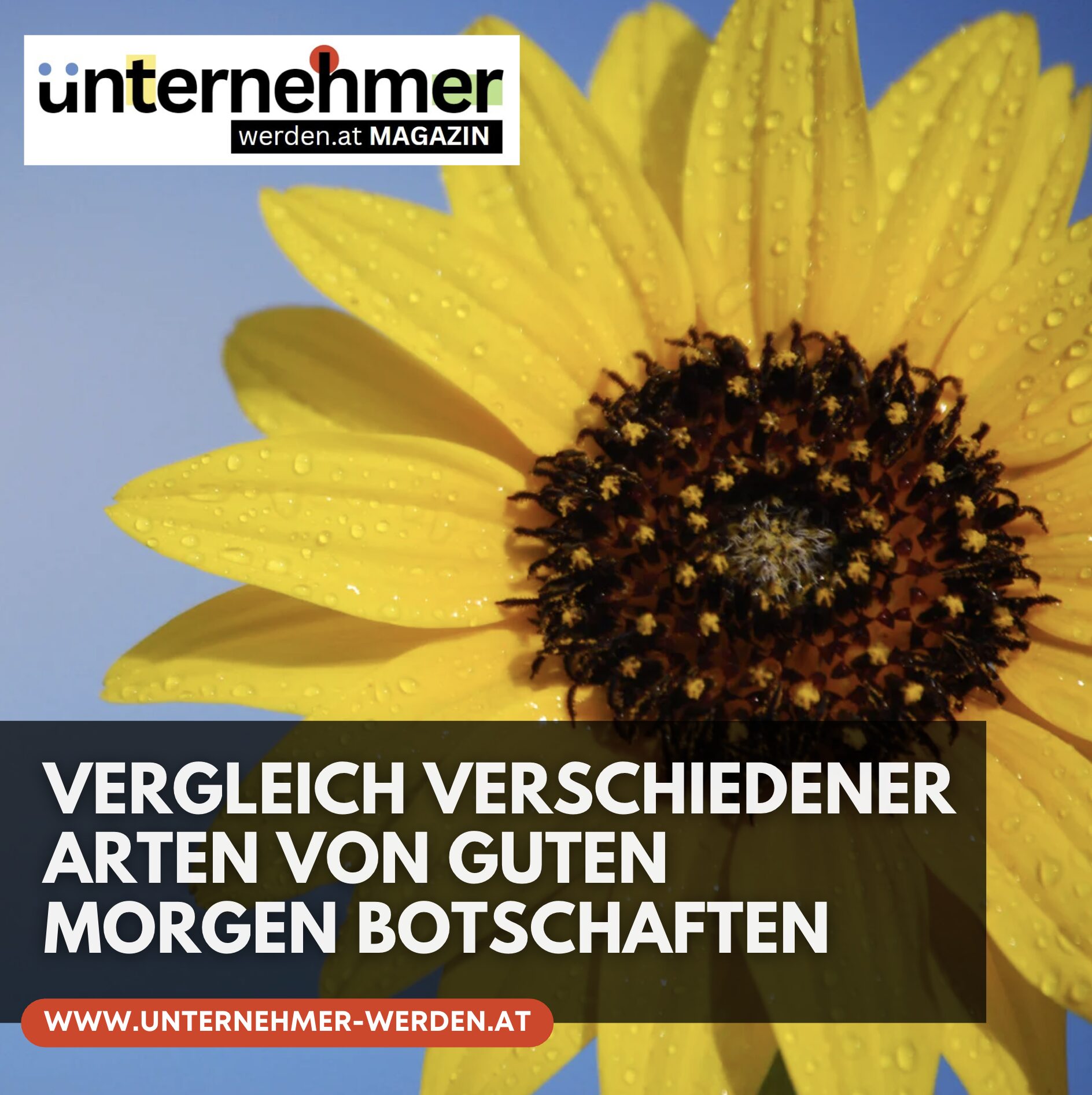 Vergleich verschiedener Arten von Guten Morgen Botschaften Vergleich verschiedener Arten von Guten Morgen Botschaften