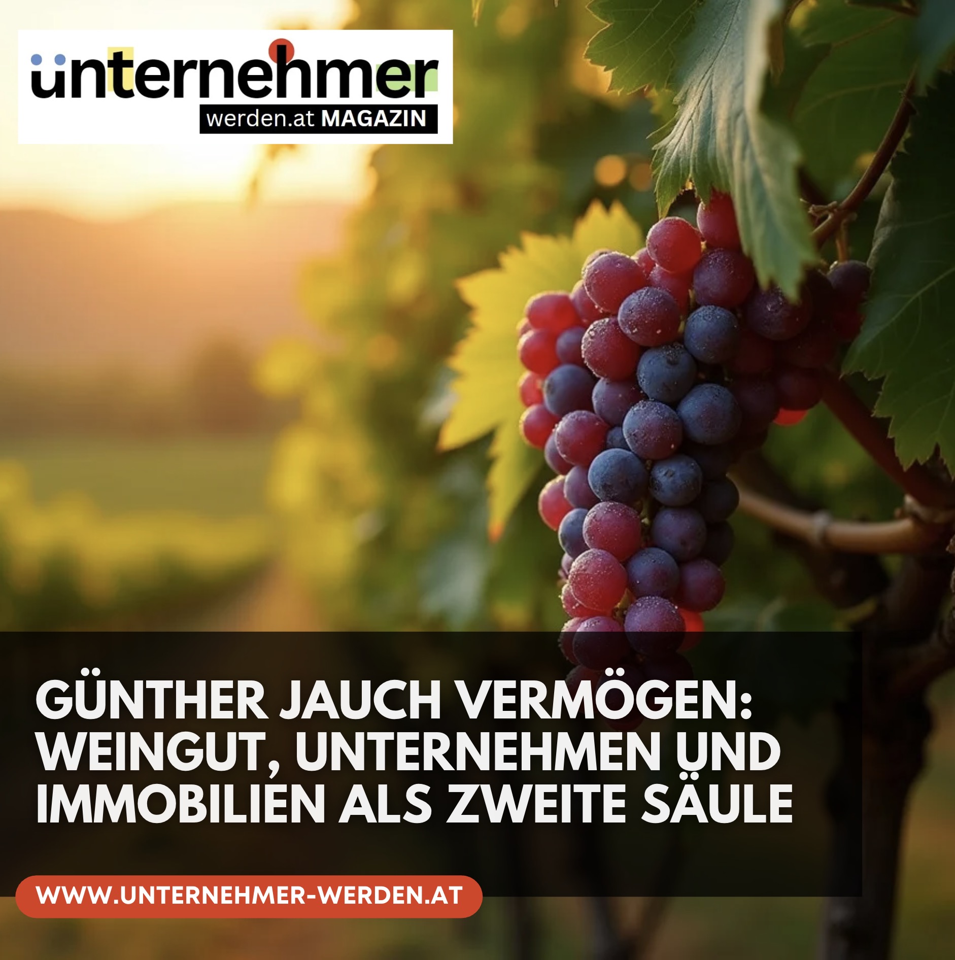 Günther Jauch Vermögen: Weingut, Unternehmen und Immobilien als zweite Säule Günther Jauch Vermögen: Weingut, Unternehmen und Immobilien als zweite Säule